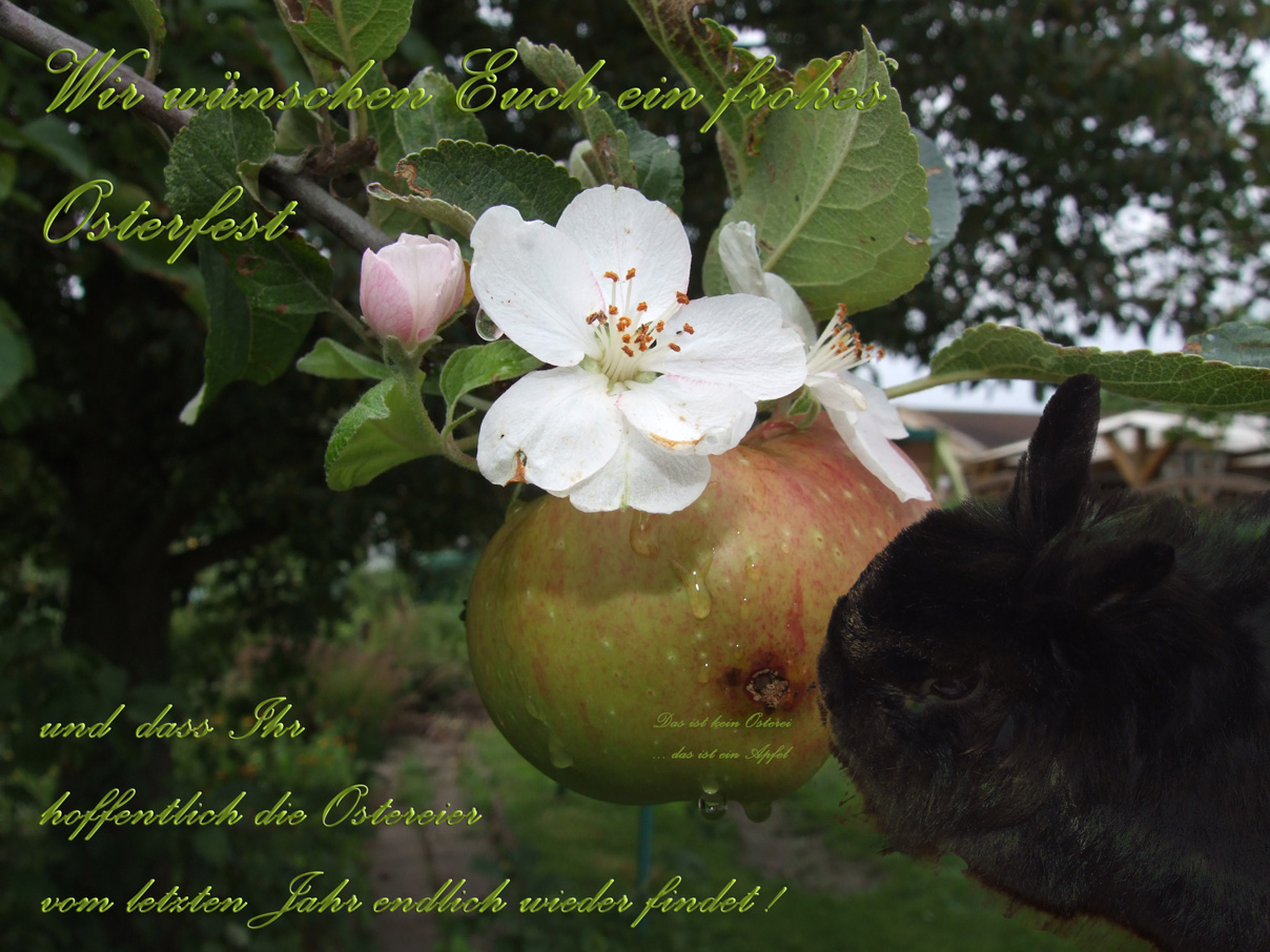 Ostern2015