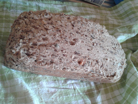 Kwandern-sep-2015-04